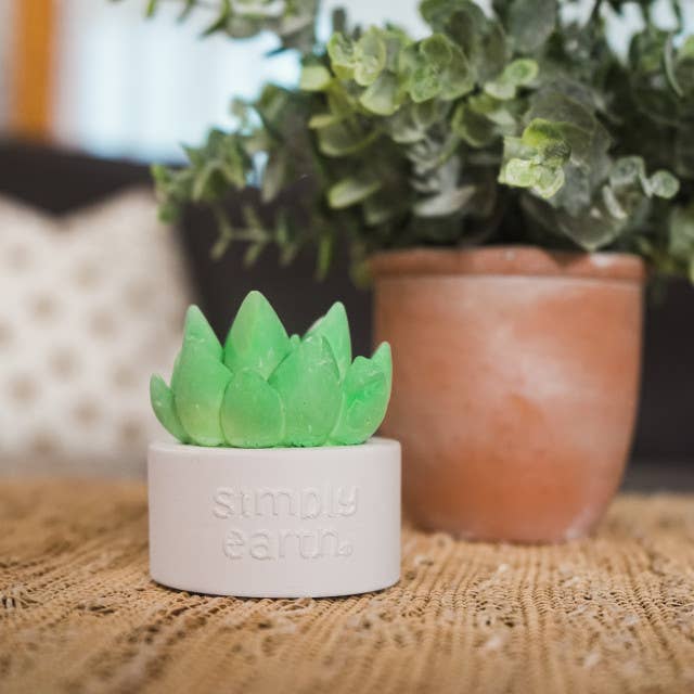 Succulent Essential Oil Diffuser