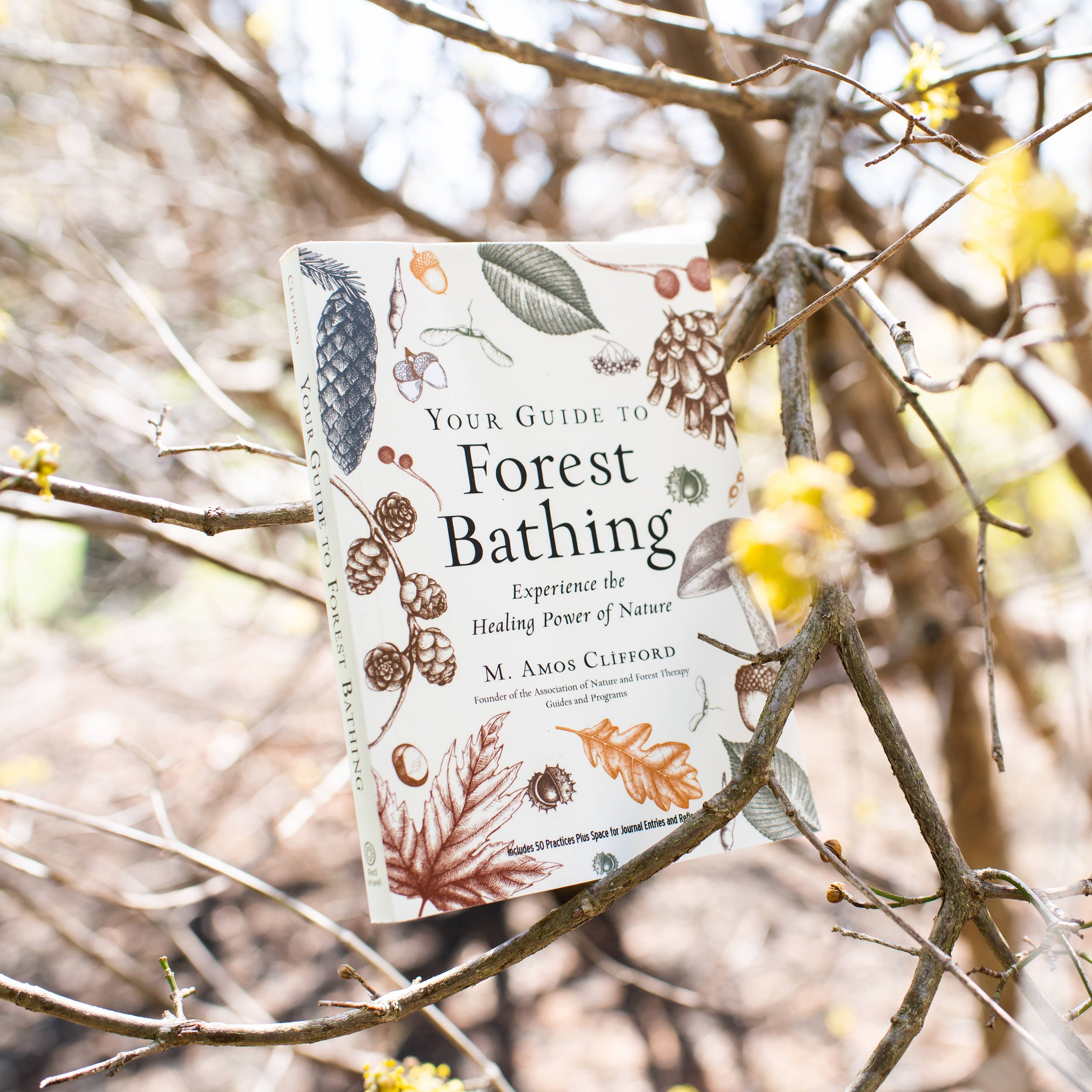Your Guide to Forest Bathing: Expanded Edition Book