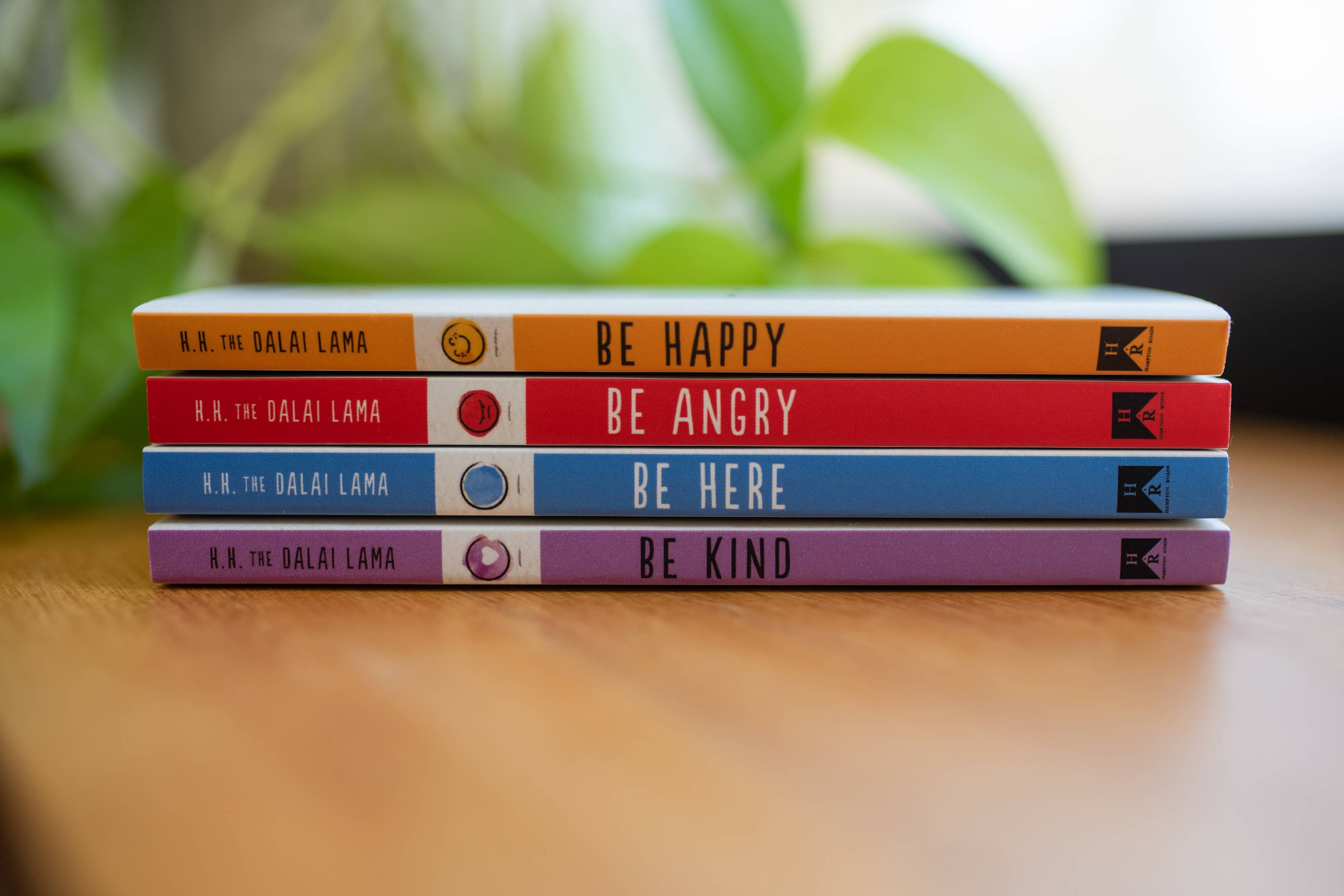 Be Angry  (Part of the Dalai Lama's Be Series)