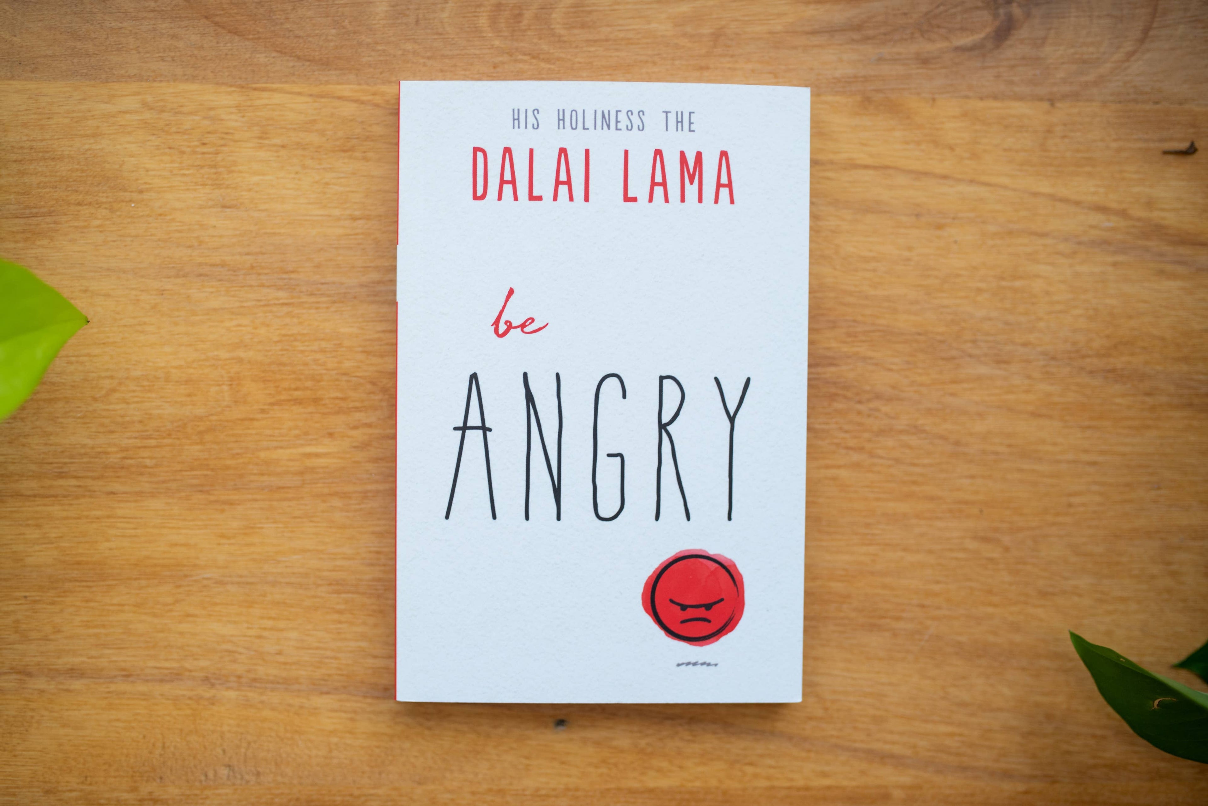 Be Angry  (Part of the Dalai Lama's Be Series)