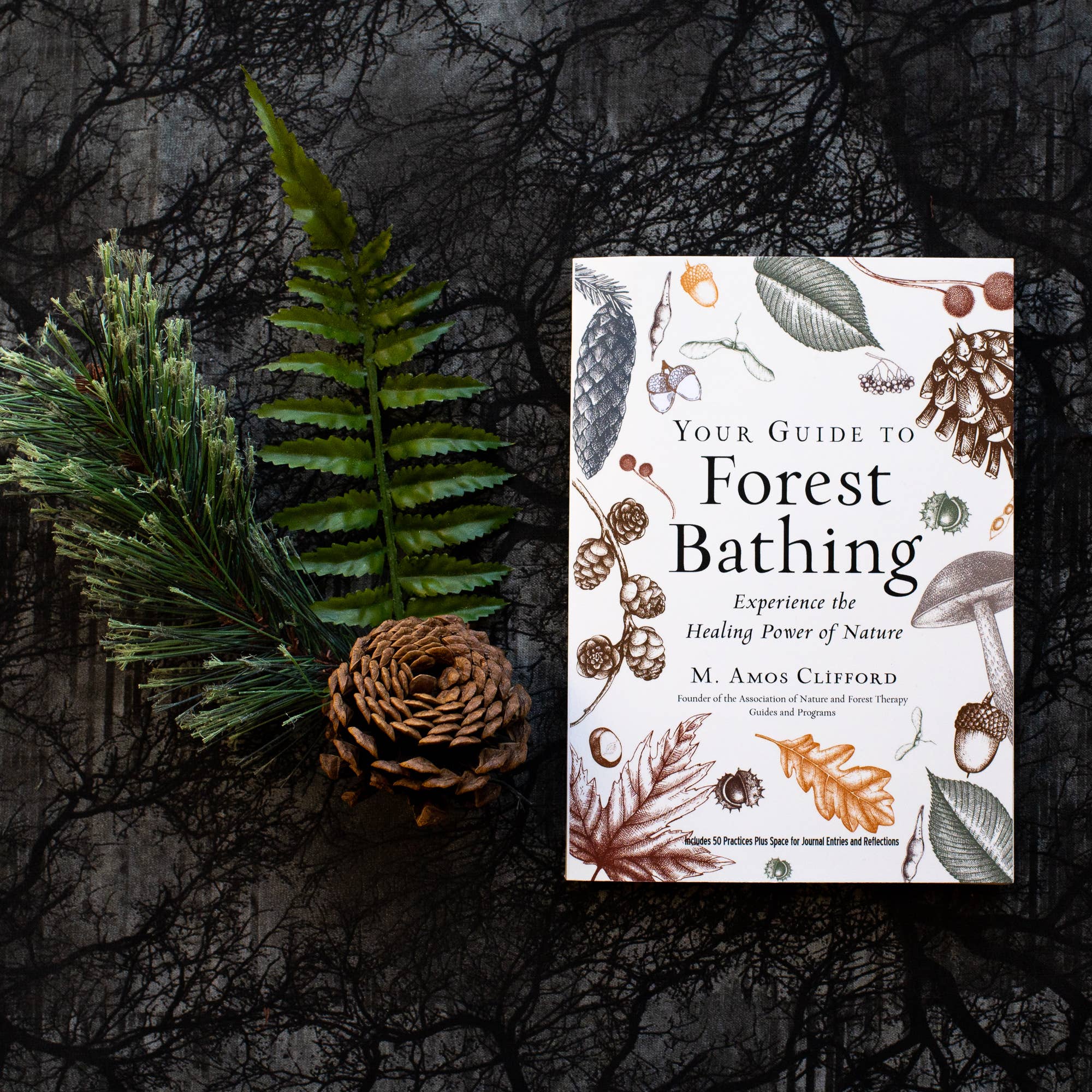 Your Guide to Forest Bathing: Expanded Edition Book