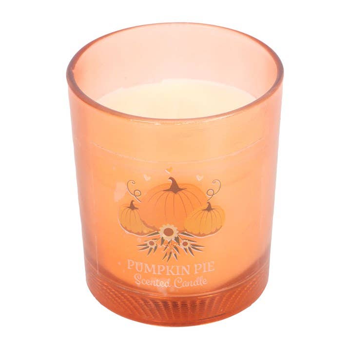 Autumn Wishes Pumpkin Pie Scented Fall Candle