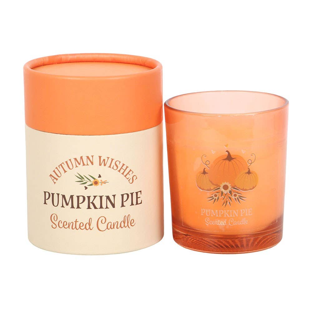 Autumn Wishes Pumpkin Pie Scented Fall Candle