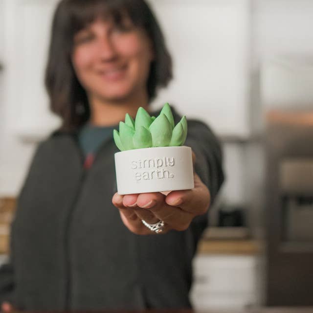 Succulent Essential Oil Diffuser