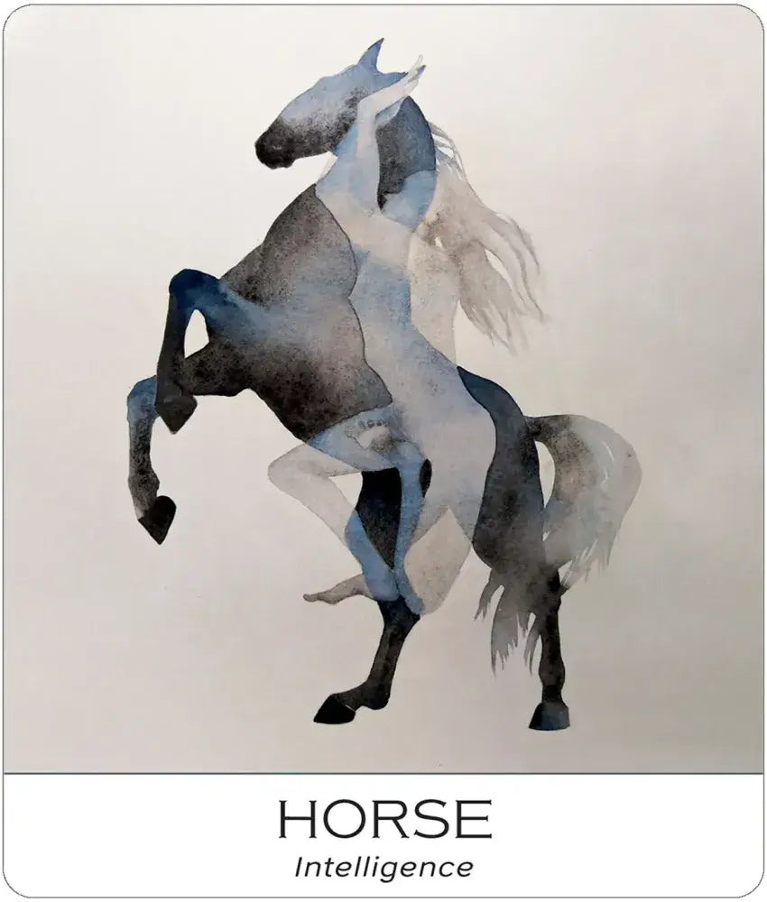 Nature & Soul Yoga Wisdom Cards